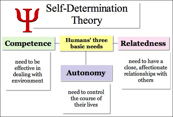 Self-determination theory