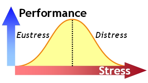 Eustress versus Performance