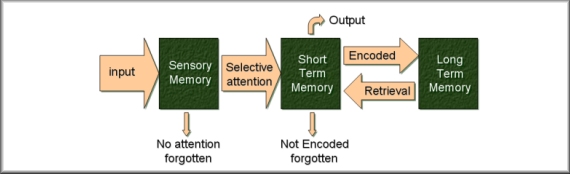 Three types of memory each with a different function