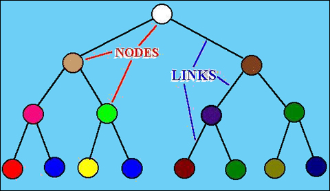 Semantic memory network